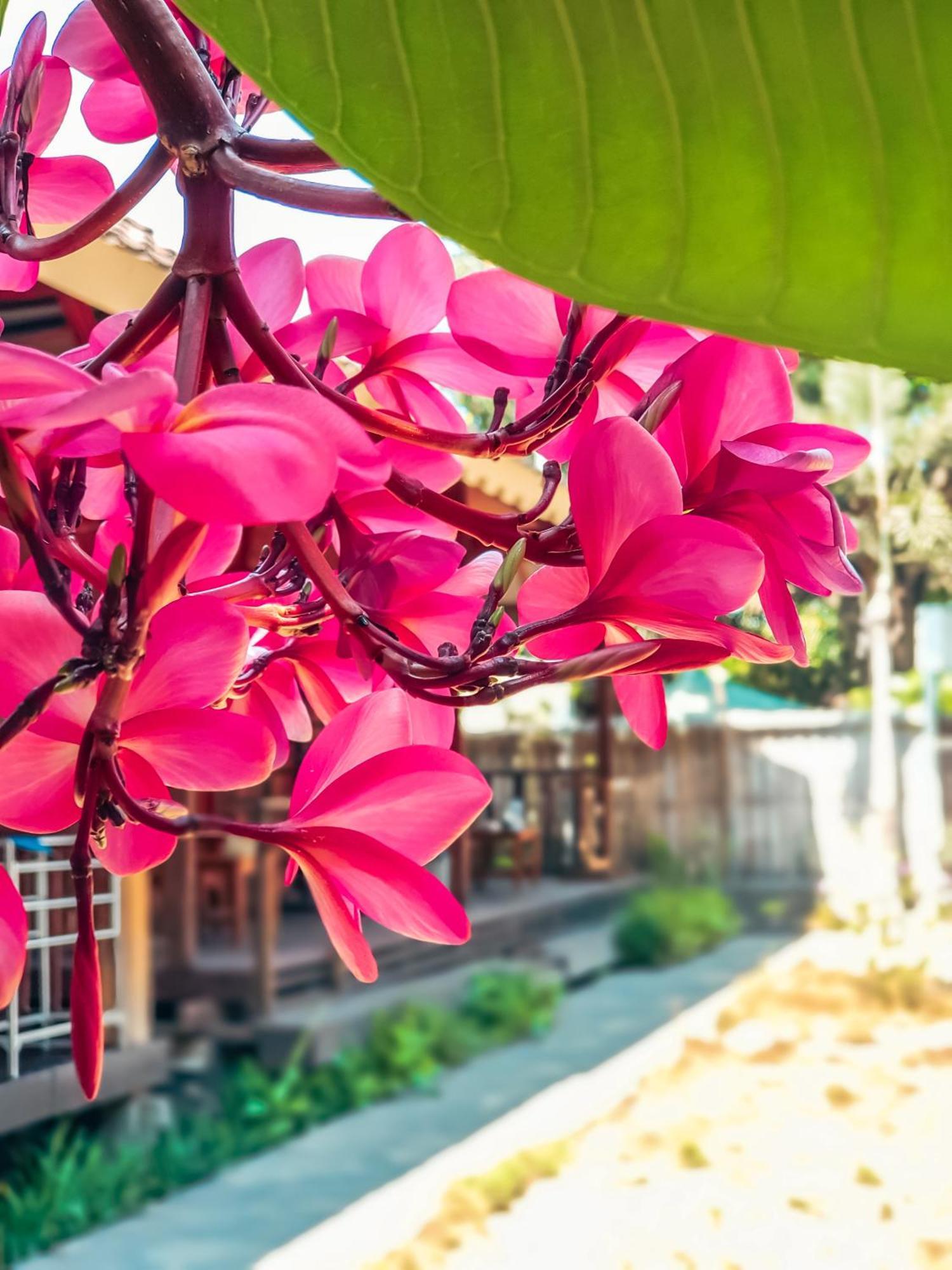 Leaf Coco Bungalow Gili Air Extérieur photo