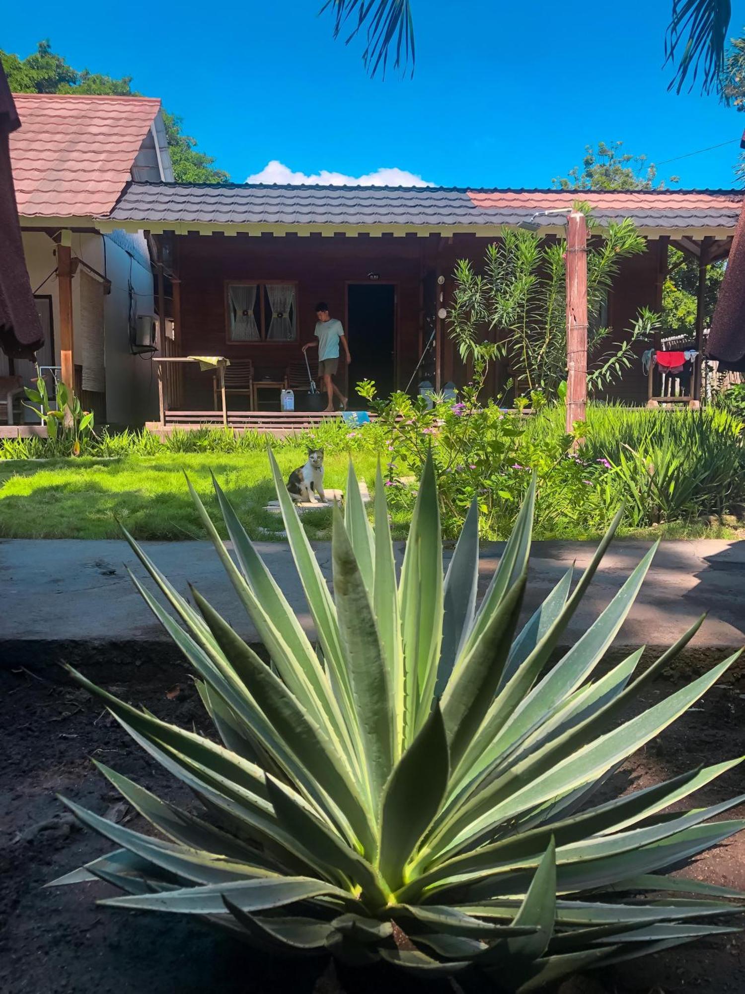 Leaf Coco Bungalow Gili Air Extérieur photo